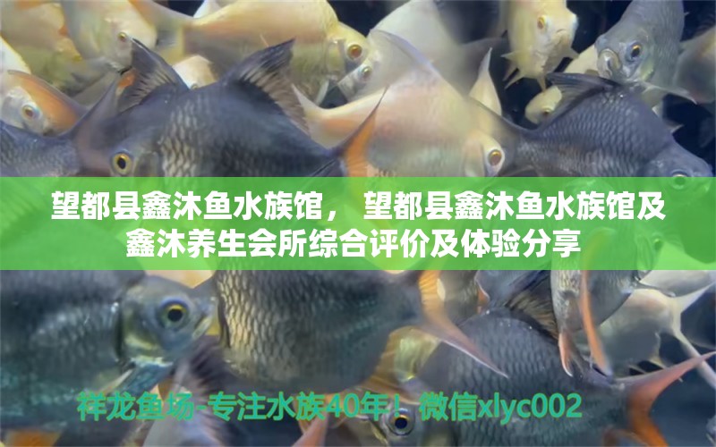 望都縣鑫沐魚水族館， 望都縣鑫沐魚水族館及鑫沐養(yǎng)生會(huì)所綜合評(píng)價(jià)及體驗(yàn)分享 