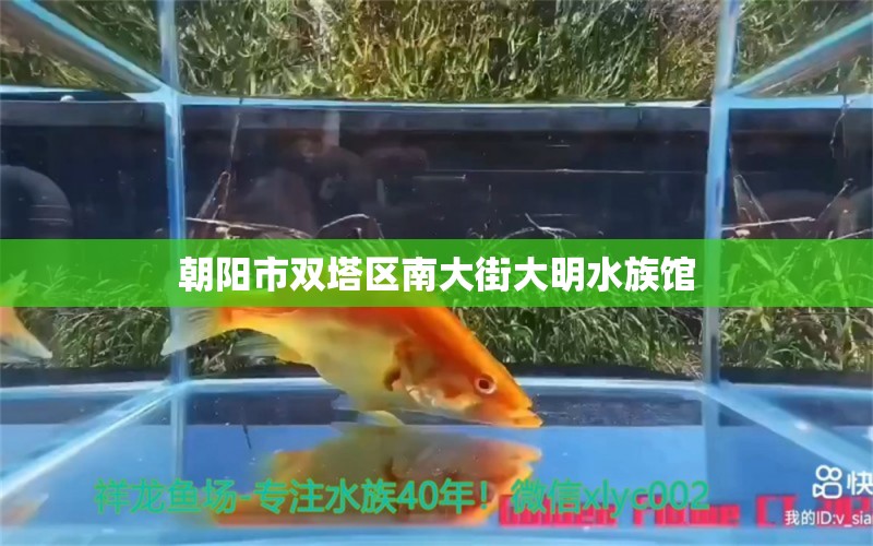 朝陽(yáng)市雙塔區(qū)南大街大明水族館