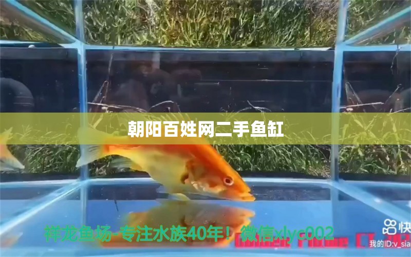 朝陽百姓網(wǎng)二手魚缸 其他品牌魚缸