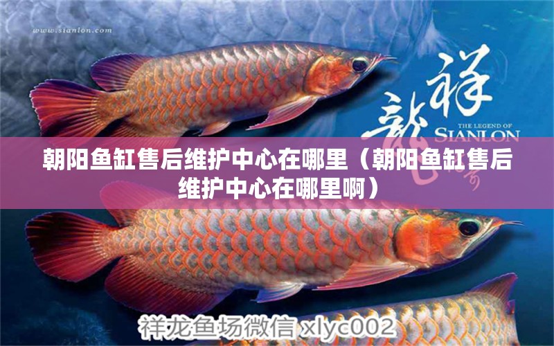 朝陽魚缸售后維護中心在哪里（朝陽魚缸售后維護中心在哪里?。?其他品牌魚缸