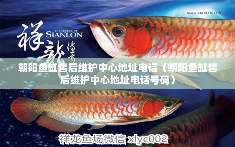 朝陽(yáng)魚缸售后維護(hù)中心地址電話（朝陽(yáng)魚缸售后維護(hù)中心地址電話號(hào)碼） 其他品牌魚缸