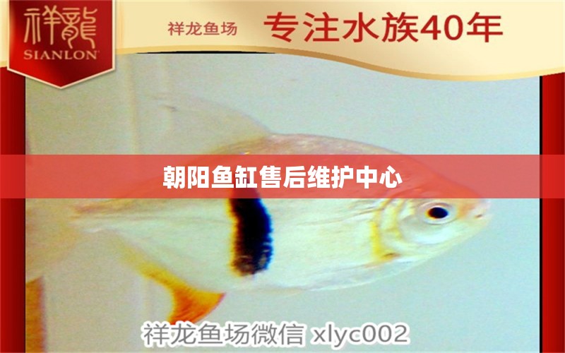 朝陽(yáng)魚(yú)缸售后維護(hù)中心 其他品牌魚(yú)缸