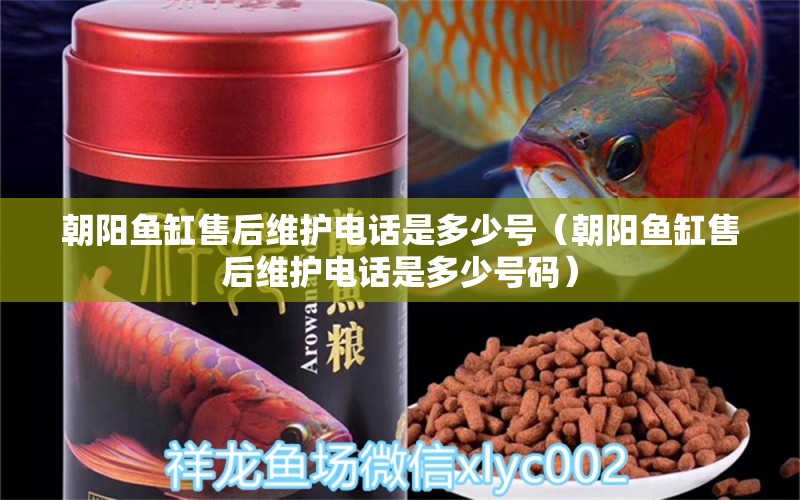 朝陽(yáng)魚缸售后維護(hù)電話是多少號(hào)（朝陽(yáng)魚缸售后維護(hù)電話是多少號(hào)碼） 其他品牌魚缸