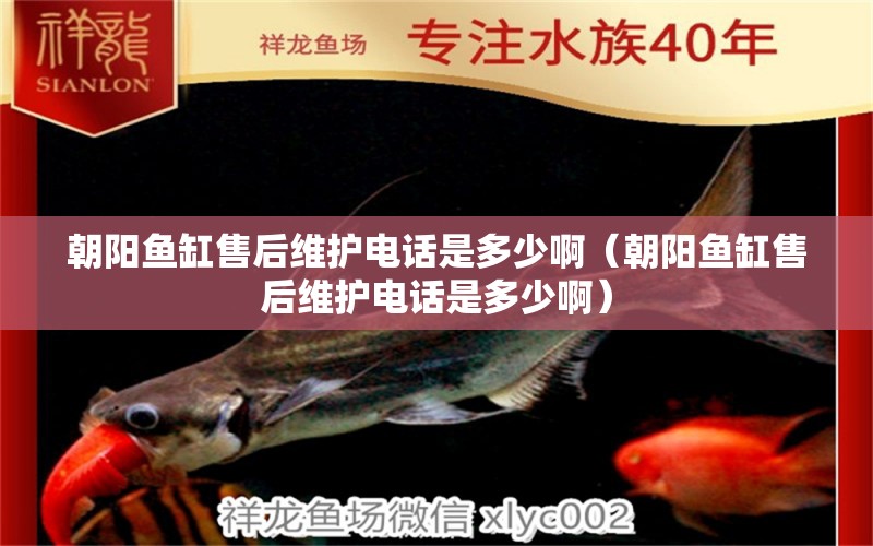 朝陽(yáng)魚缸售后維護(hù)電話是多少?。ǔ?yáng)魚缸售后維護(hù)電話是多少啊） 其他品牌魚缸