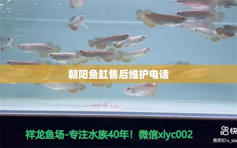 朝陽魚缸售后維護(hù)電話 其他品牌魚缸