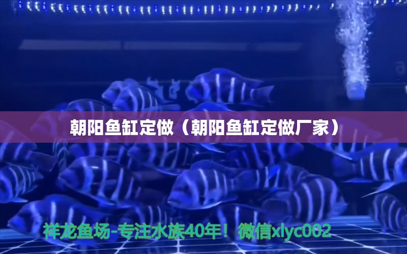 朝陽(yáng)魚缸定做（朝陽(yáng)魚缸定做廠家） 祥龍水族醫(yī)院