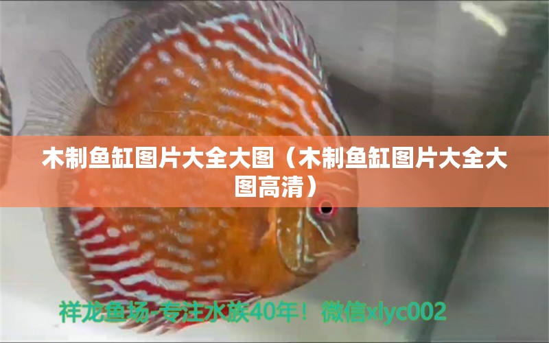 木制魚缸圖片大全大圖（木制魚缸圖片大全大圖高清）