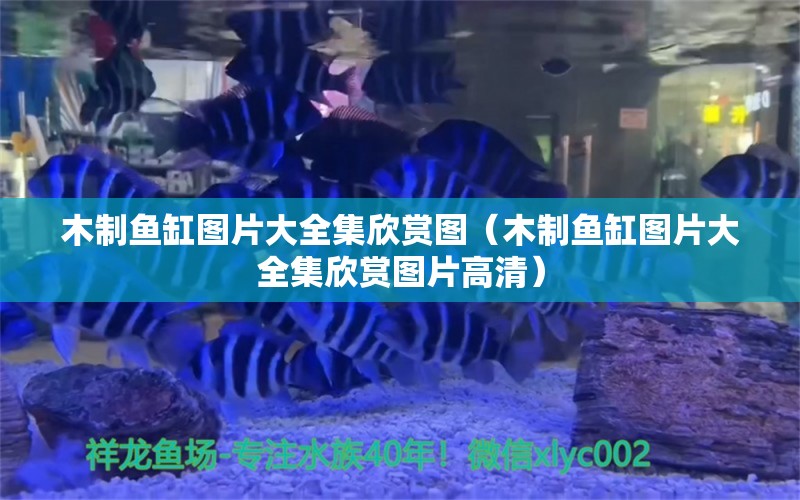 木制魚缸圖片大全集欣賞圖（木制魚缸圖片大全集欣賞圖片高清）