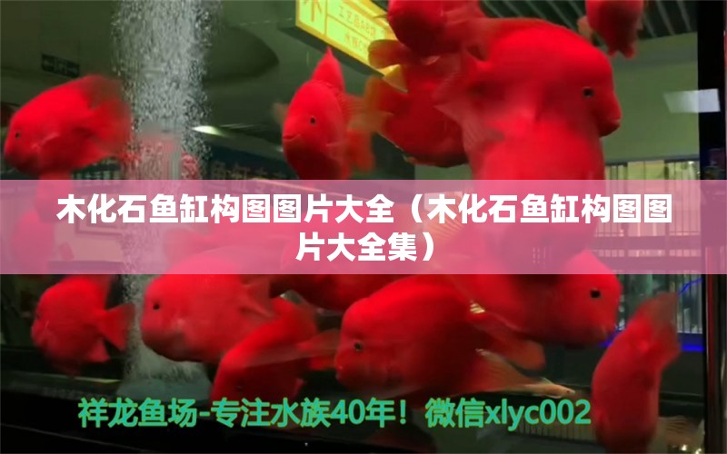 木化石魚缸構(gòu)圖圖片大全（木化石魚缸構(gòu)圖圖片大全集） 其他品牌魚缸