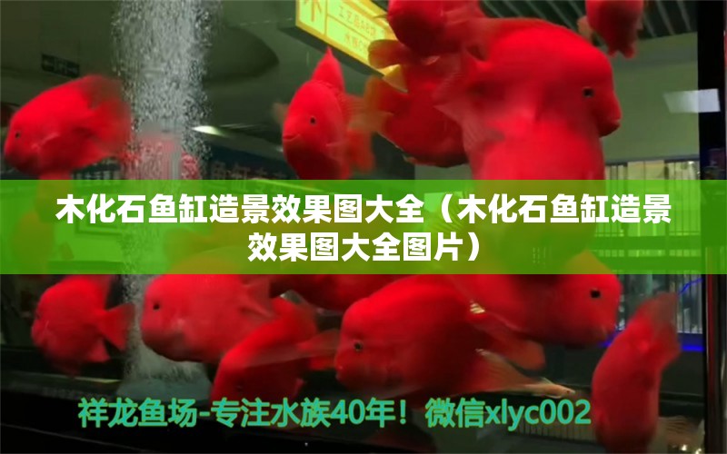 木化石魚(yú)缸造景效果圖大全（木化石魚(yú)缸造景效果圖大全圖片）