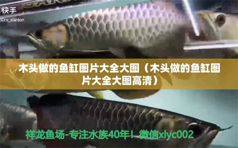 木頭做的魚缸圖片大全大圖（木頭做的魚缸圖片大全大圖高清）