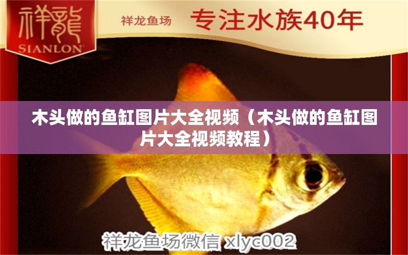 木頭做的魚缸圖片大全視頻（木頭做的魚缸圖片大全視頻教程） 其他品牌魚缸