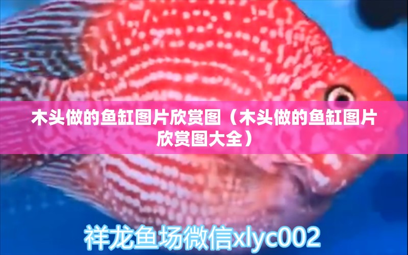 木頭做的魚缸圖片欣賞圖（木頭做的魚缸圖片欣賞圖大全）