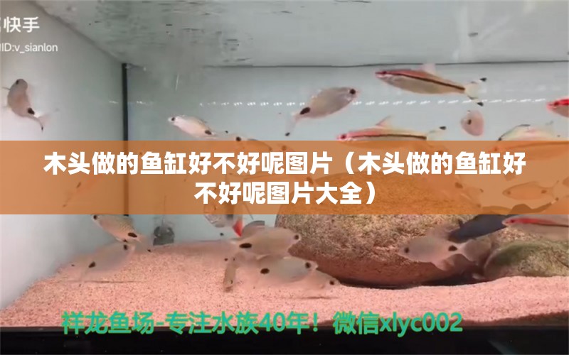 木頭做的魚缸好不好呢圖片（木頭做的魚缸好不好呢圖片大全） 其他品牌魚缸