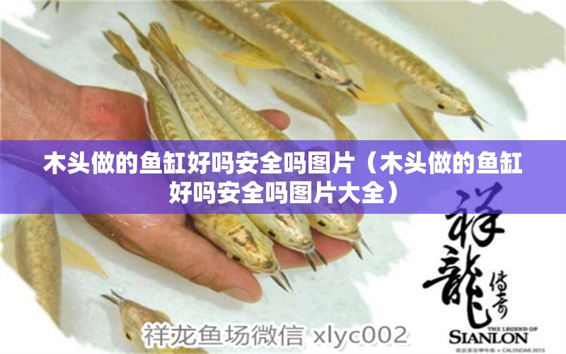 木頭做的魚缸好嗎安全嗎圖片（木頭做的魚缸好嗎安全嗎圖片大全） 其他品牌魚缸