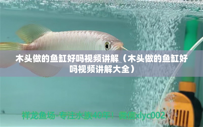 木頭做的魚(yú)缸好嗎視頻講解（木頭做的魚(yú)缸好嗎視頻講解大全） 其他品牌魚(yú)缸