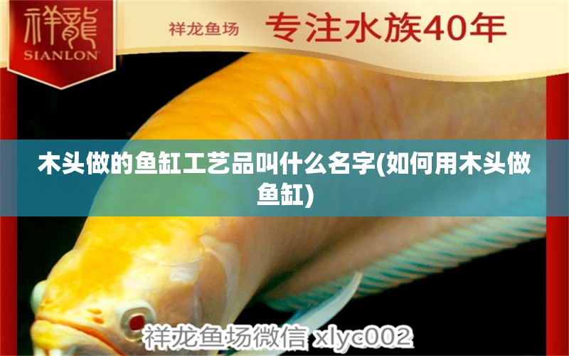 木頭做的魚缸工藝品叫什么名字(如何用木頭做魚缸) 廣州水族器材濾材批發(fā)市場 第1張