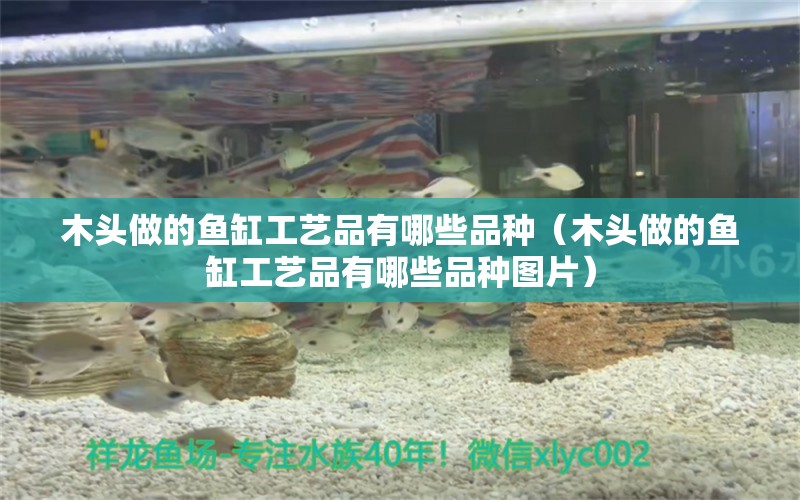 木頭做的魚缸工藝品有哪些品種（木頭做的魚缸工藝品有哪些品種圖片）