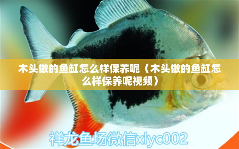 木頭做的魚(yú)缸怎么樣保養(yǎng)呢（木頭做的魚(yú)缸怎么樣保養(yǎng)呢視頻） 其他品牌魚(yú)缸