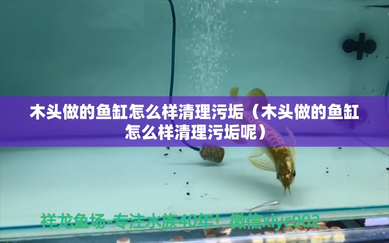 木頭做的魚缸怎么樣清理污垢（木頭做的魚缸怎么樣清理污垢呢）