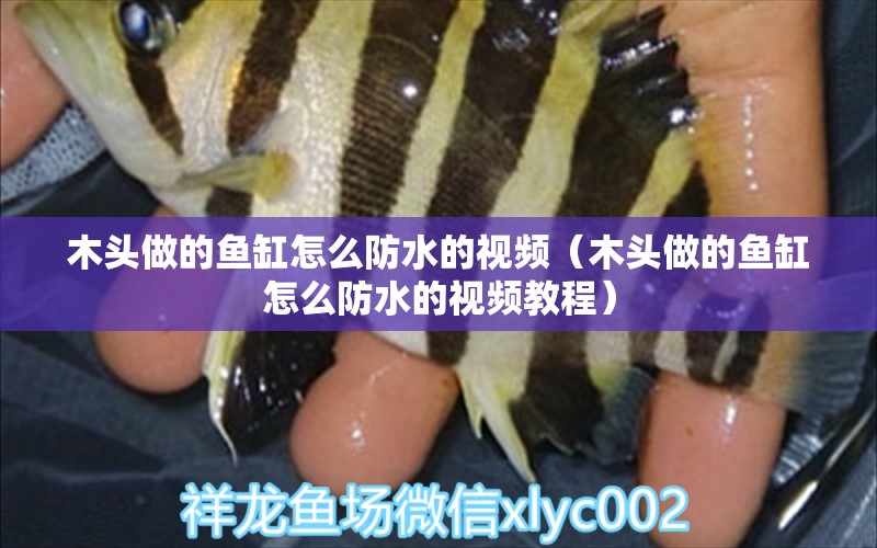 木頭做的魚缸怎么防水的視頻（木頭做的魚缸怎么防水的視頻教程）