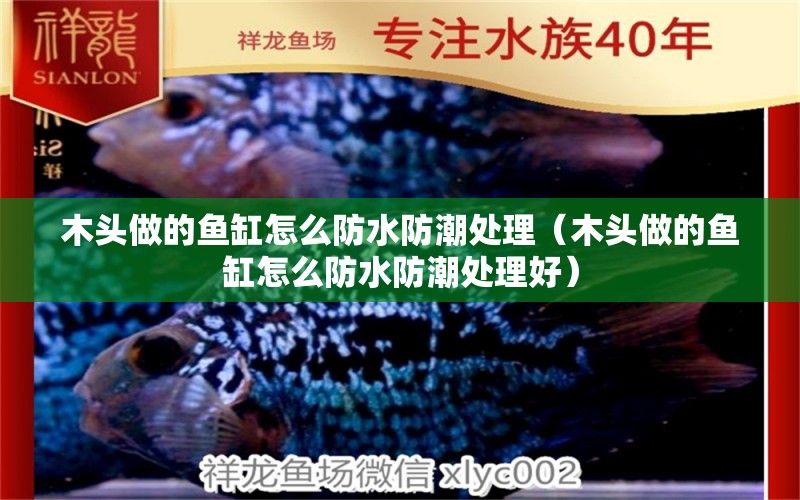 木頭做的魚缸怎么防水防潮處理（木頭做的魚缸怎么防水防潮處理好）