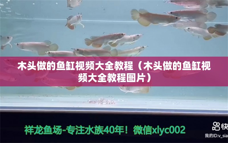 木頭做的魚缸視頻大全教程（木頭做的魚缸視頻大全教程圖片）