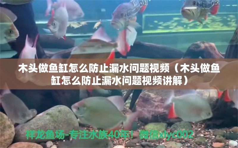 木頭做魚缸怎么防止漏水問題視頻（木頭做魚缸怎么防止漏水問題視頻講解）