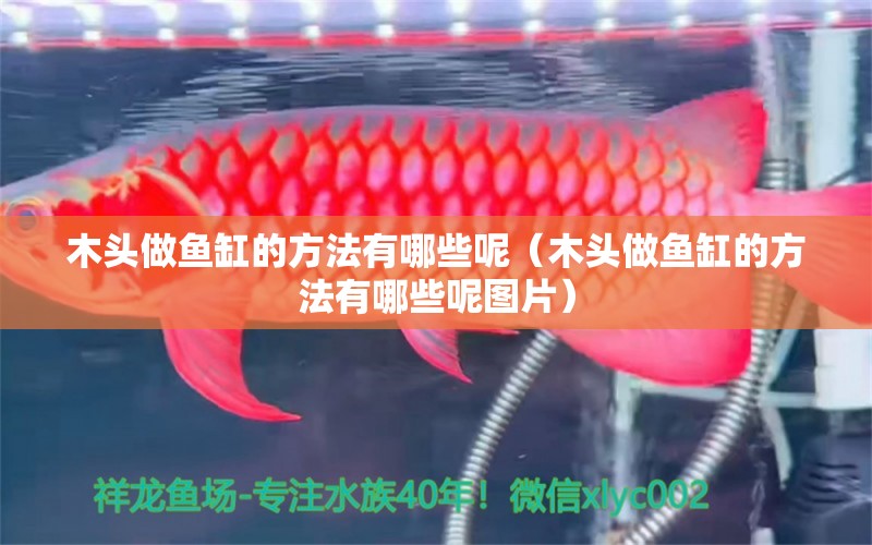 木頭做魚缸的方法有哪些呢（木頭做魚缸的方法有哪些呢圖片）