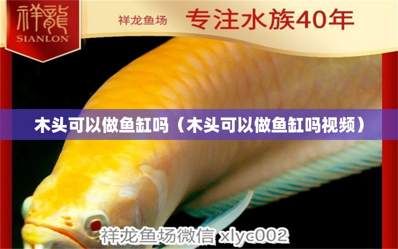 木頭可以做魚缸嗎（木頭可以做魚缸嗎視頻）