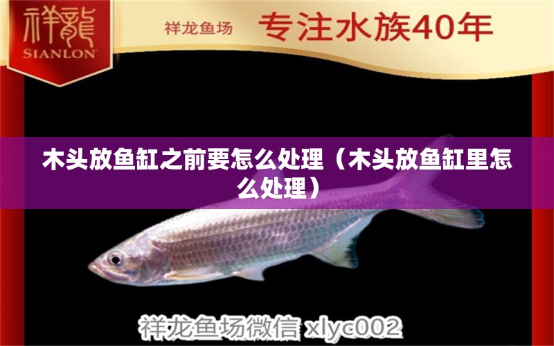 木頭放魚缸之前要怎么處理（木頭放魚缸里怎么處理） 狗頭魚