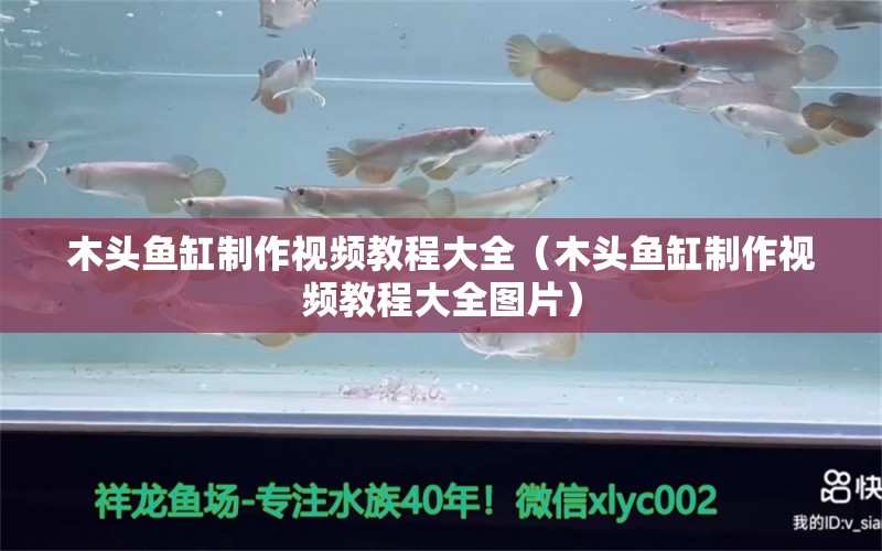 木頭魚缸制作視頻教程大全（木頭魚缸制作視頻教程大全圖片）