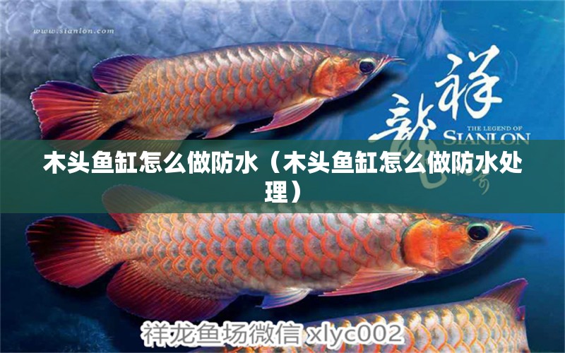 木頭魚缸怎么做防水（木頭魚缸怎么做防水處理） 其他品牌魚缸