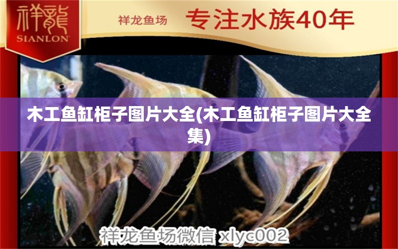 木工魚缸柜子圖片大全(木工魚缸柜子圖片大全集) 赤焰中國虎魚 第1張