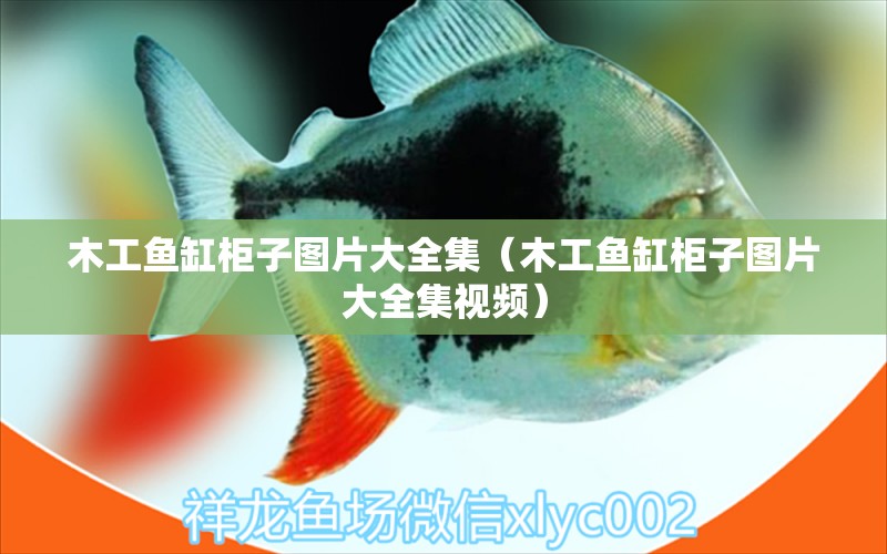 木工魚缸柜子圖片大全集（木工魚缸柜子圖片大全集視頻）