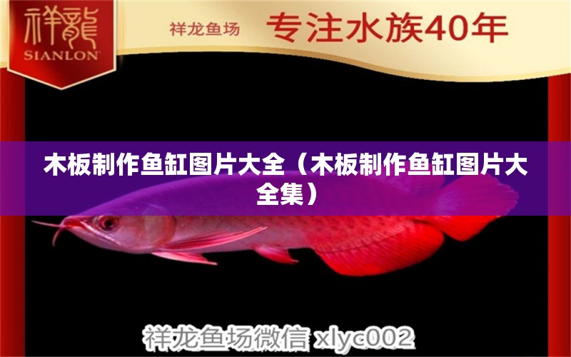 木板制作魚缸圖片大全（木板制作魚缸圖片大全集）