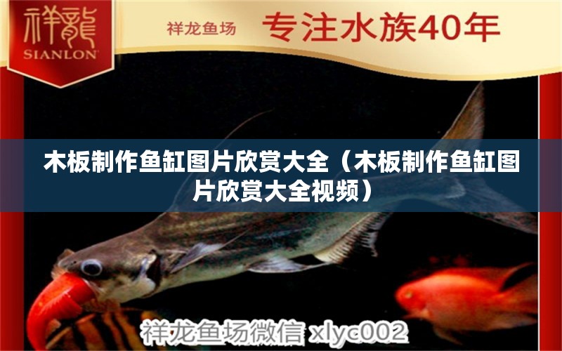 木板制作魚缸圖片欣賞大全（木板制作魚缸圖片欣賞大全視頻）