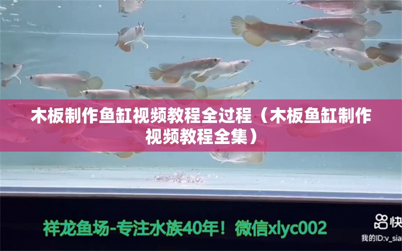 木板制作魚缸視頻教程全過程（木板魚缸制作視頻教程全集）