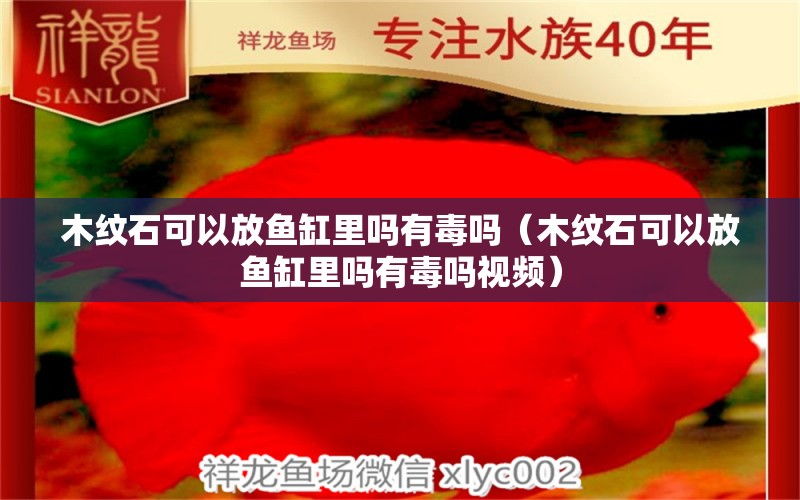 木紋石可以放魚缸里嗎有毒嗎（木紋石可以放魚缸里嗎有毒嗎視頻）