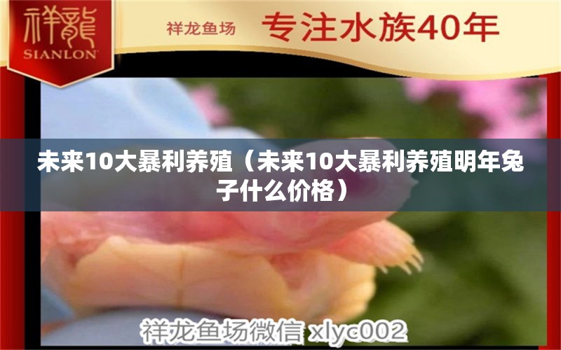 未來10大暴利養(yǎng)殖（未來10大暴利養(yǎng)殖明年兔子什么價格）