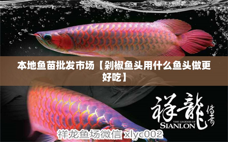 本地魚苗批發(fā)市場【剁椒魚頭用什么魚頭做更好吃】