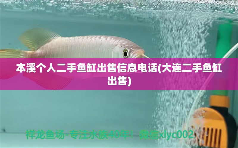 本溪個(gè)人二手魚缸出售信息電話(大連二手魚缸出售) 白子銀版魚苗