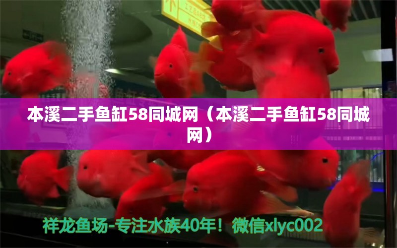 本溪二手魚缸58同城網(wǎng)（本溪二手魚缸58同城網(wǎng)）