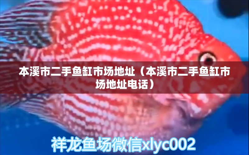 本溪市二手魚缸市場地址（本溪市二手魚缸市場地址電話）