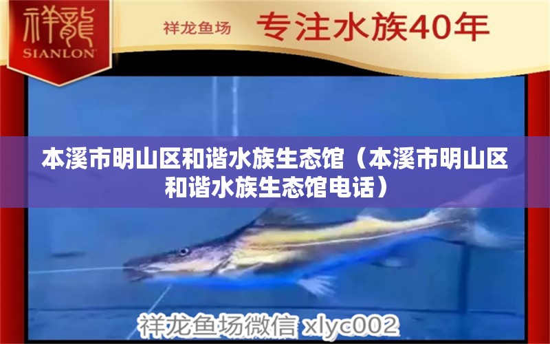 本溪市明山區(qū)和諧水族生態(tài)館（本溪市明山區(qū)和諧水族生態(tài)館電話） 全國水族館企業(yè)名錄