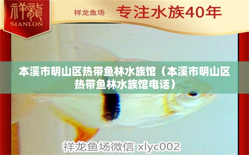 本溪市明山區(qū)熱帶魚林水族館（本溪市明山區(qū)熱帶魚林水族館電話）