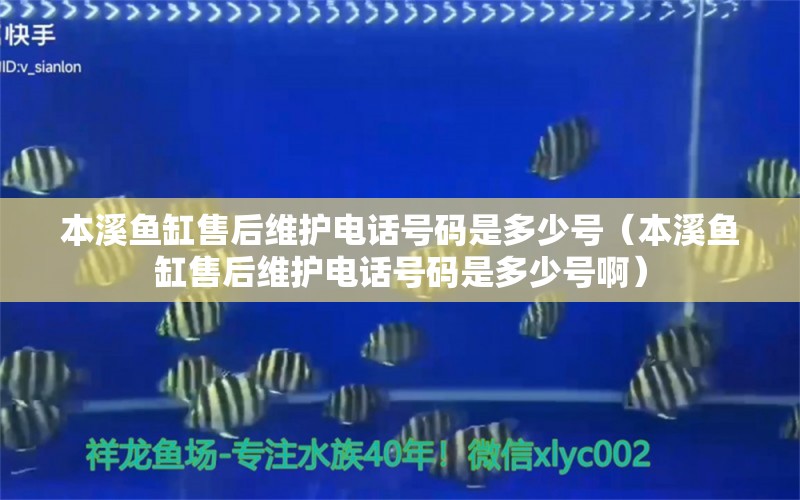 本溪魚(yú)缸售后維護(hù)電話號(hào)碼是多少號(hào)（本溪魚(yú)缸售后維護(hù)電話號(hào)碼是多少號(hào)?。? title=