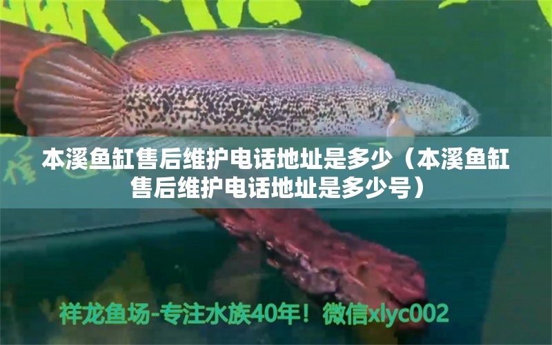 本溪魚(yú)缸售后維護(hù)電話地址是多少（本溪魚(yú)缸售后維護(hù)電話地址是多少號(hào)）