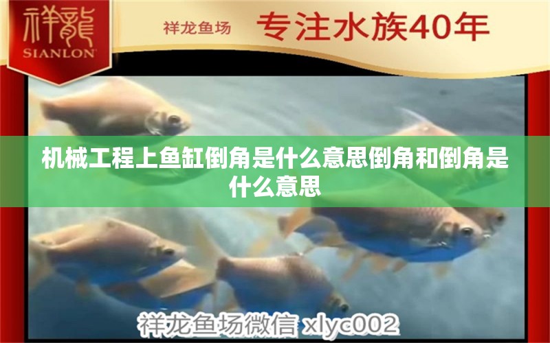 機械工程上魚缸倒角是什么意思倒角和倒角是什么意思 觀賞魚