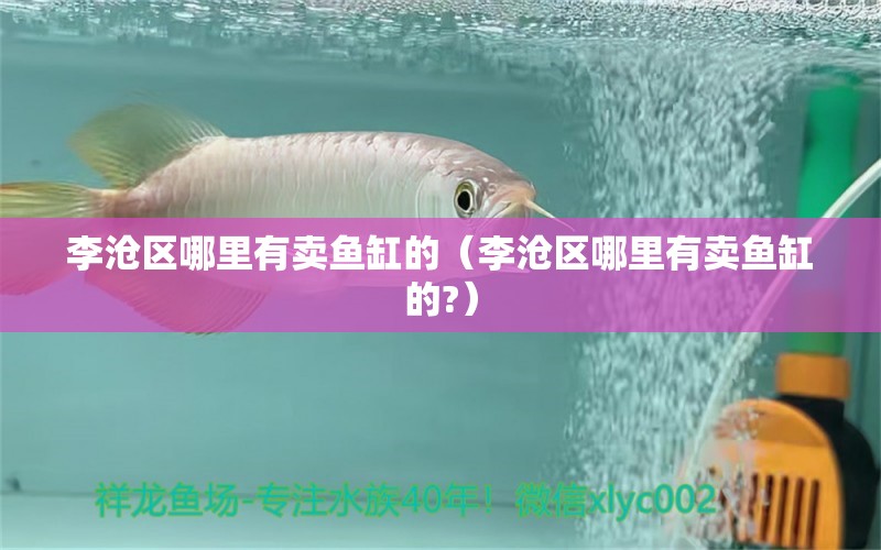 李滄區(qū)哪里有賣魚缸的（李滄區(qū)哪里有賣魚缸的?）